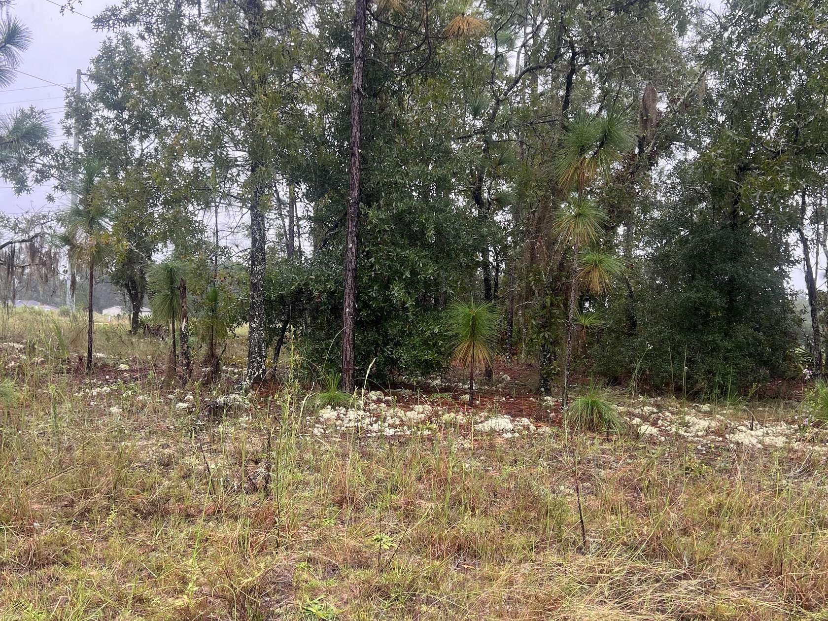 0.47 Acres of Residential Land for Sale in Bronson, Florida