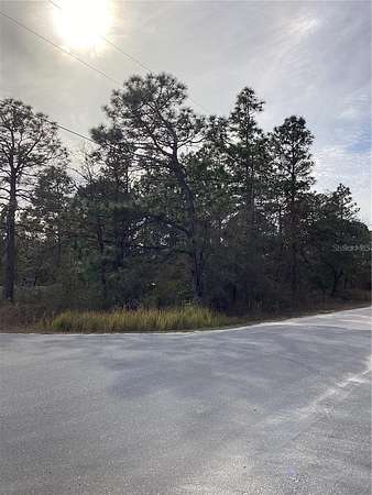 0.48 Acres of Residential Land for Sale in Weeki Wachee, Florida