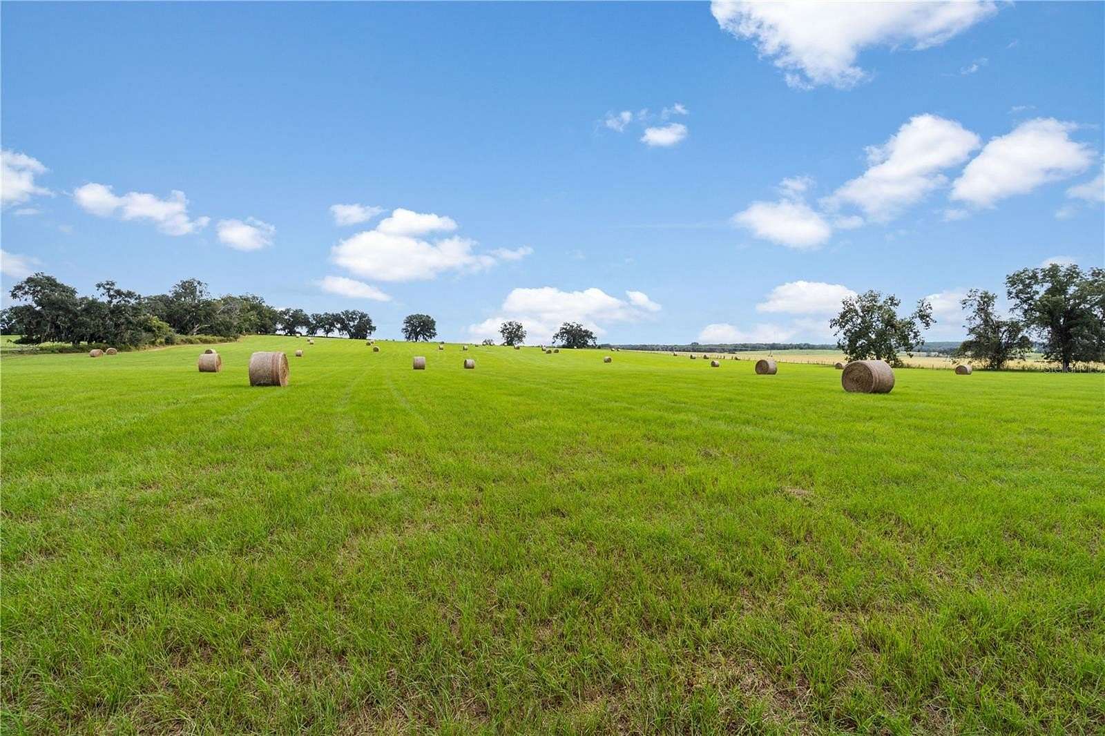 47.1 Acres of Agricultural & Residential Land for Sale in Lake City, Florida