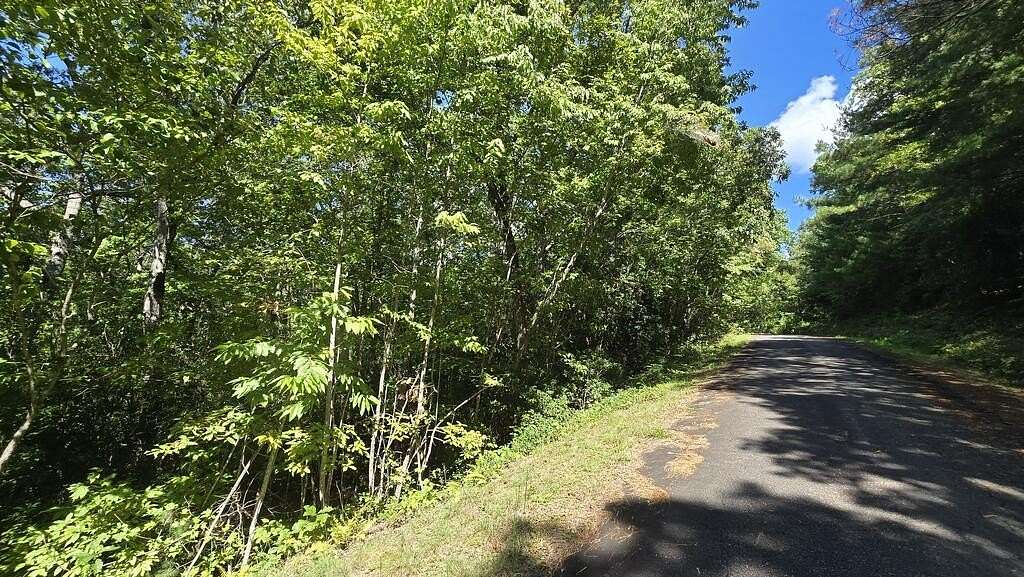 0.99 Acres of Land for Sale in Hiawassee, Georgia