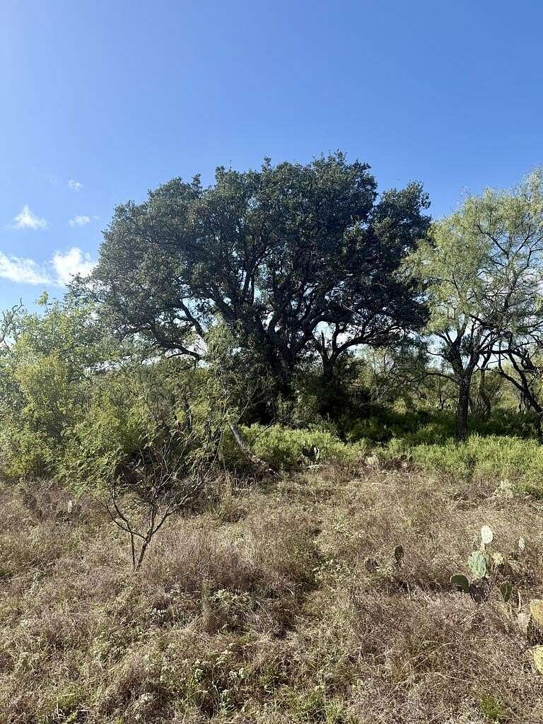 10 Acres of Land for Sale in Mason, Texas