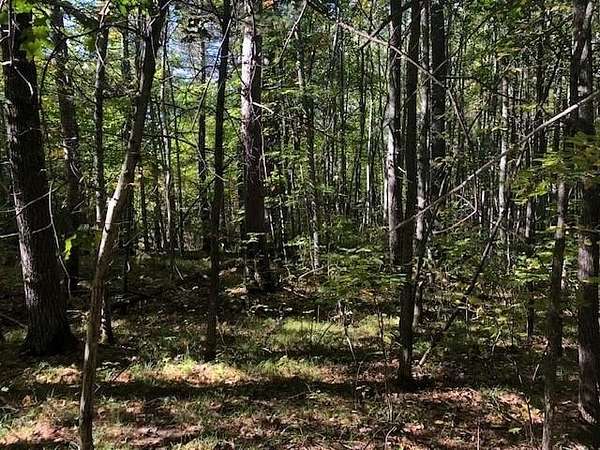 2 Acres of Residential Land for Sale in Minocqua, Wisconsin