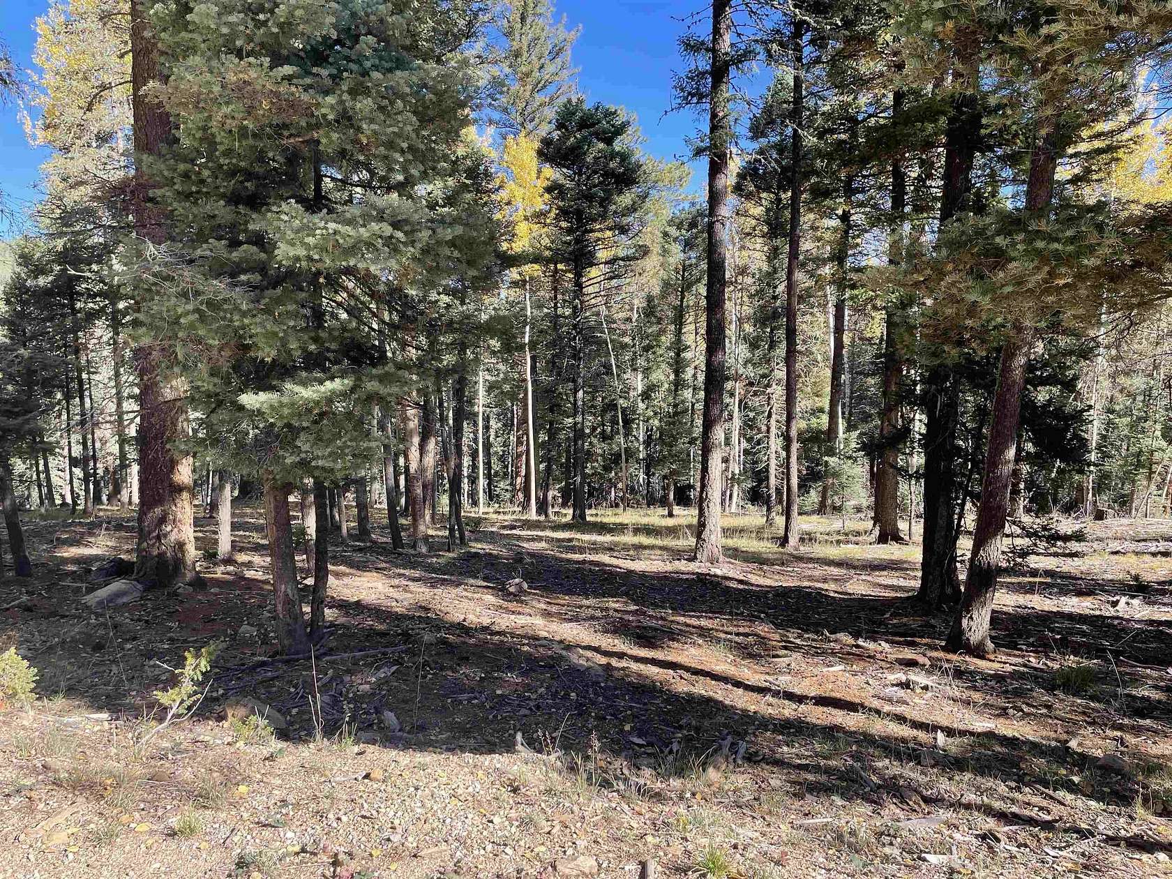 0.76 Acres of Residential Land for Sale in Angel Fire, New Mexico