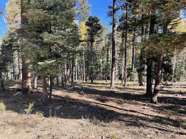 0.76 Acres of Residential Land for Sale in Angel Fire, New Mexico