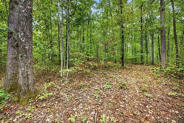 4.64 Acres of Residential Land for Sale in Celina, Tennessee