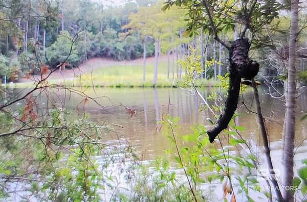 3.4 Acres of Residential Land for Sale in Seminole, Alabama