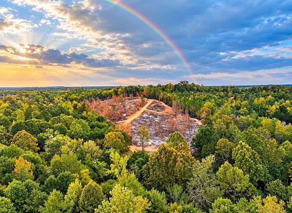 65 Acres of Recreational & Residential Land for Sale in Coffeeville, Alabama