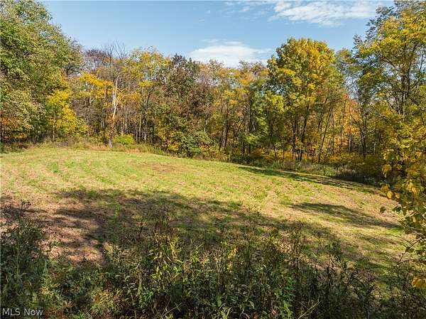 20.1 Acres of Recreational Land for Auction in Glenmont, Ohio
