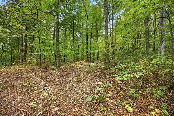 4.64 Acres of Residential Land for Sale in Celina, Tennessee