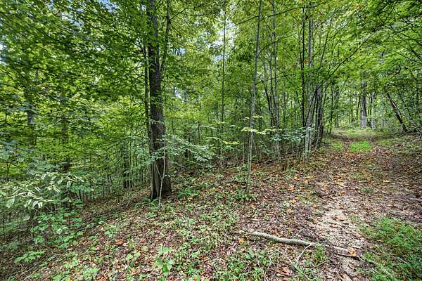 5.8 Acres of Residential Land for Sale in Celina, Tennessee
