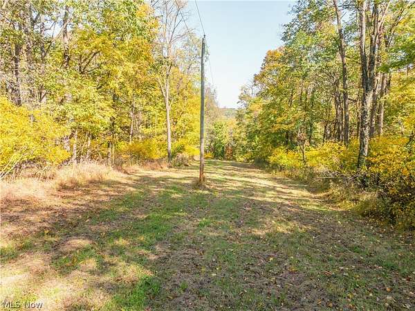 19 Acres of Land for Auction in Glenmont, Ohio