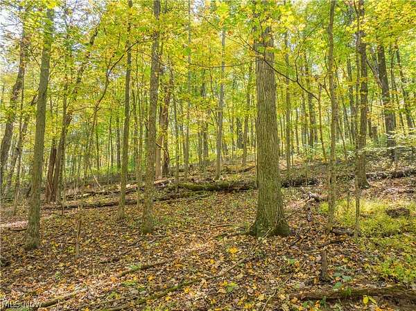 20.1 Acres of Recreational Land for Auction in Glenmont, Ohio