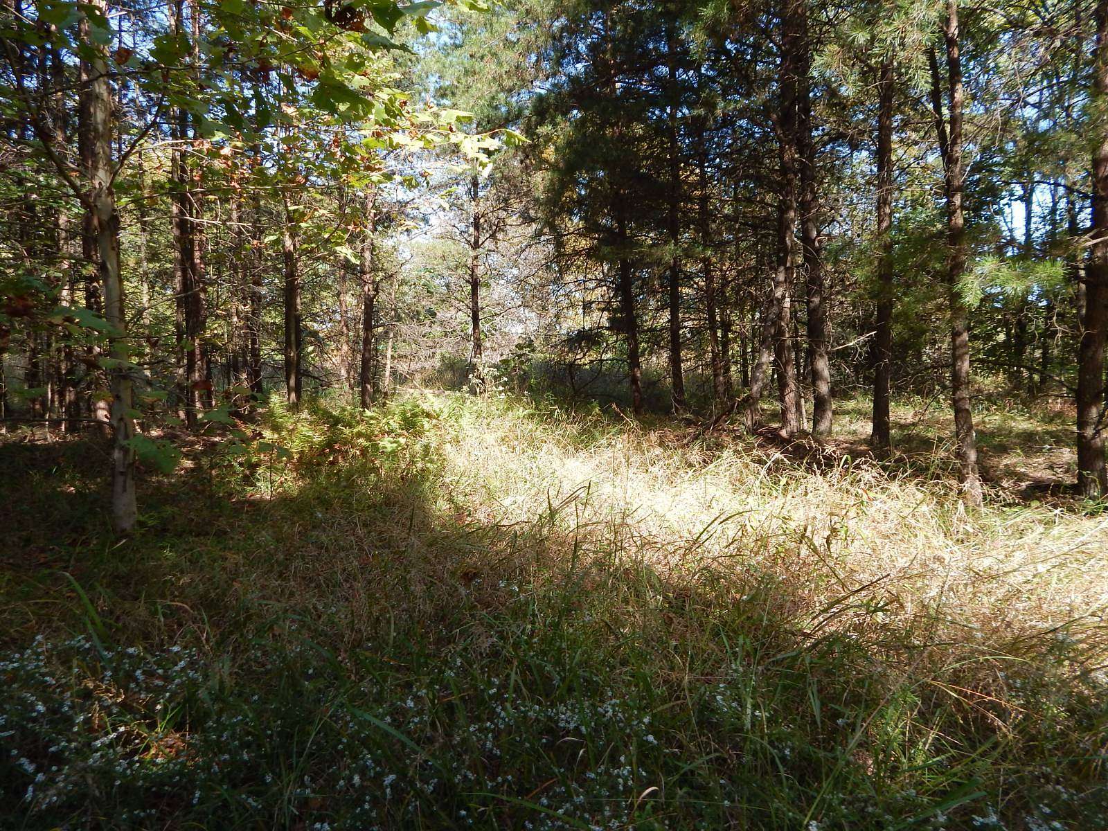 3.1 Acres of Residential Land for Sale in Cairo, West Virginia