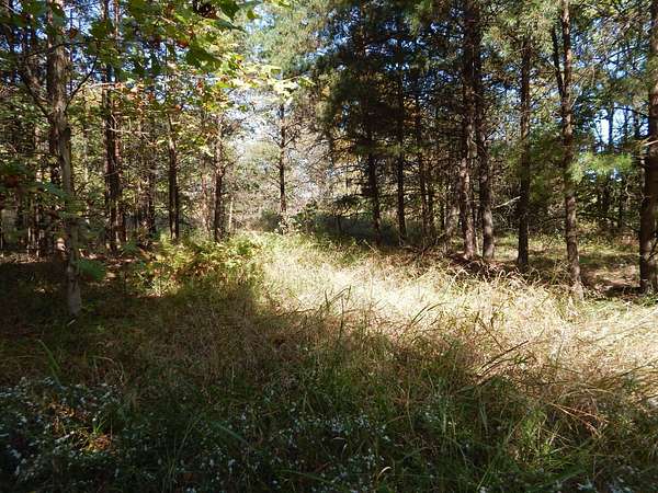 3.1 Acres of Residential Land for Sale in Cairo, West Virginia