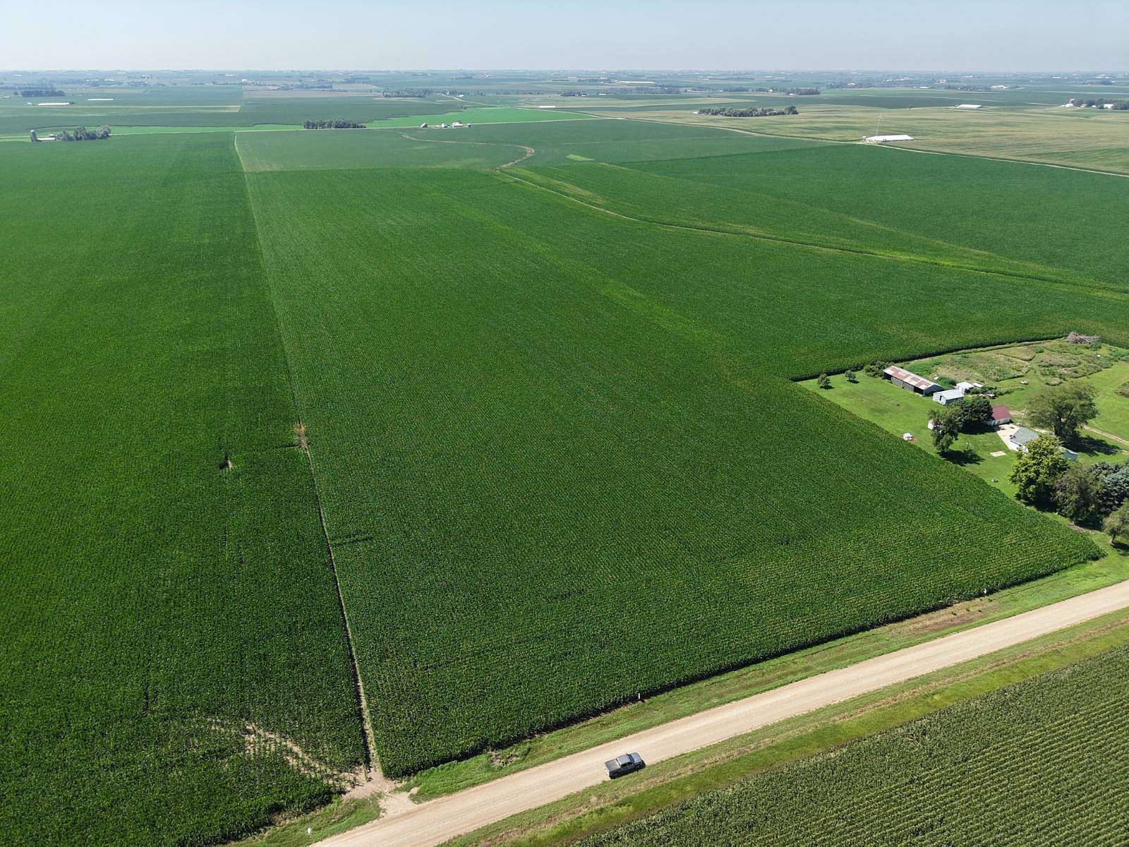 75.5 Acres of Agricultural Land for Auction in George, Iowa