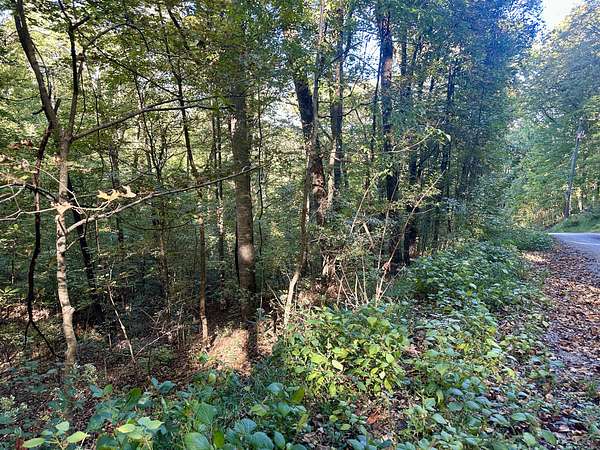 0.82 Acres of Residential Land for Sale in Smithville, Tennessee