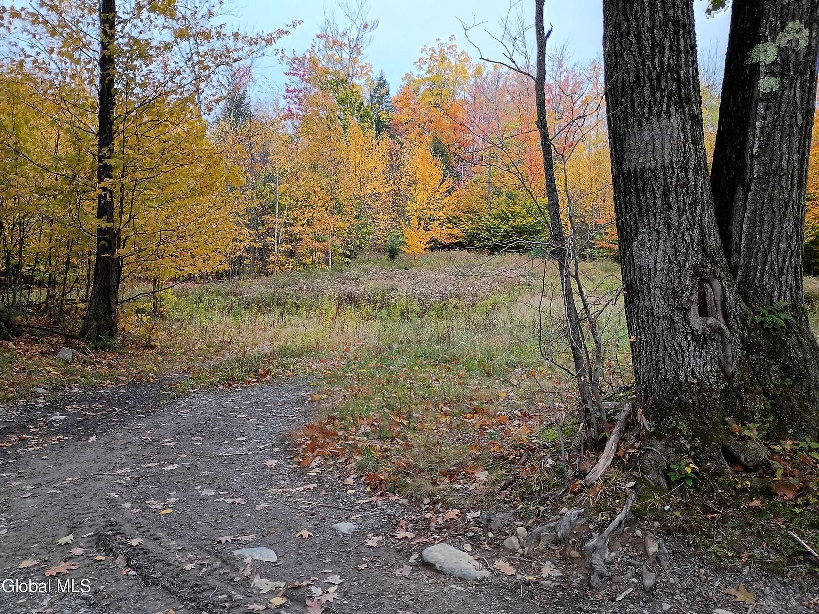 19.9 Acres of Land for Sale in Grafton, New York