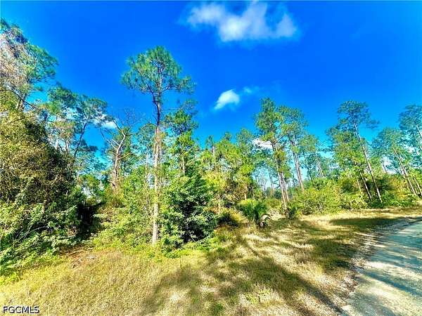 0.34 Acres of Residential Land for Sale in Lehigh Acres, Florida