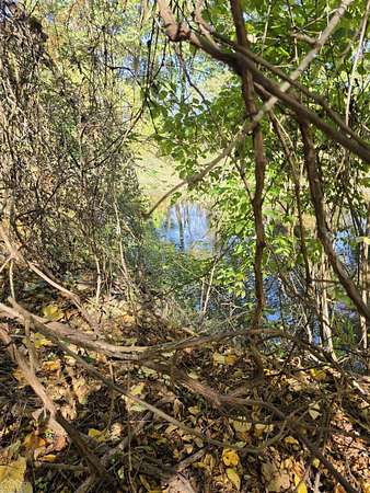 0.24 Acres of Residential Land for Sale in East China Township, Michigan