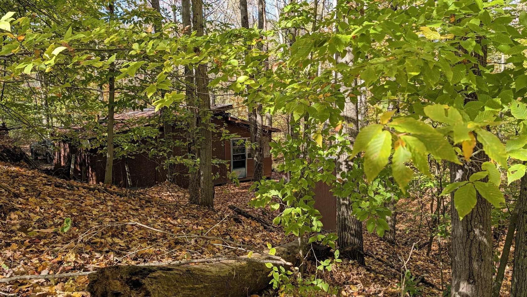 40 Acres of Recreational Land with Home for Sale in Hersey, Michigan