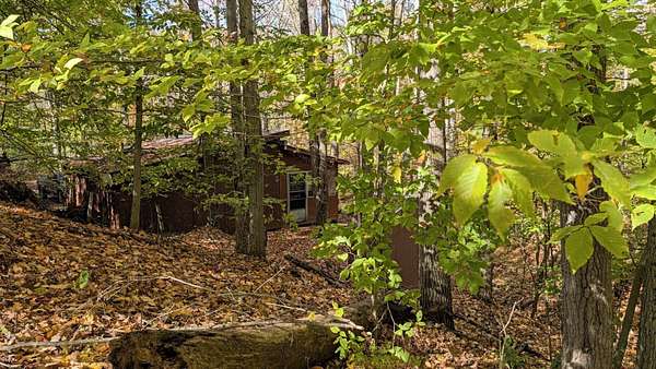 40 Acres of Recreational Land with Home for Sale in Hersey, Michigan