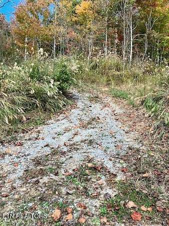 10 Acres of Recreational & Residential Land for Sale in Sneedville, Tennessee