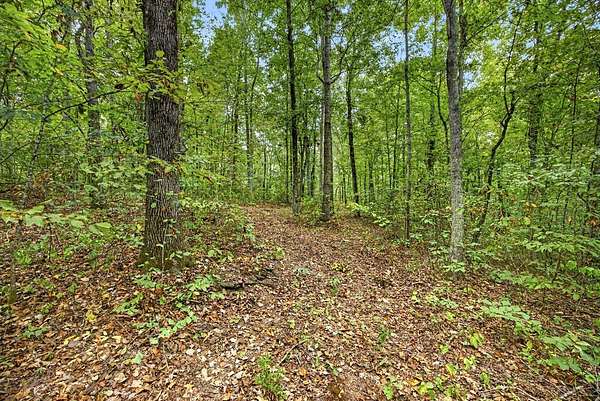 6.86 Acres of Residential Land for Sale in Celina, Tennessee