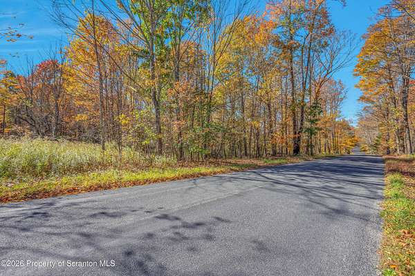 57 Acres of Recreational & Residential Land for Sale in Moscow, Pennsylvania