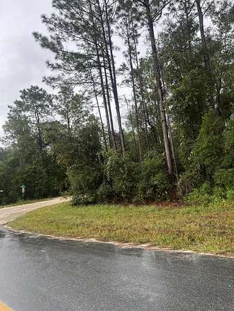 0.45 Acres of Residential Land for Sale in Archer, Florida