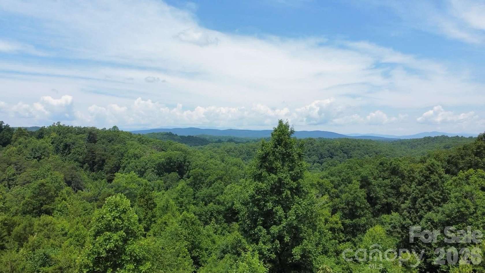 90.3 Acres of Land for Sale in Union Mills, North Carolina