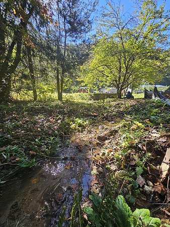24 Acres of Land for Sale in Murphy, North Carolina