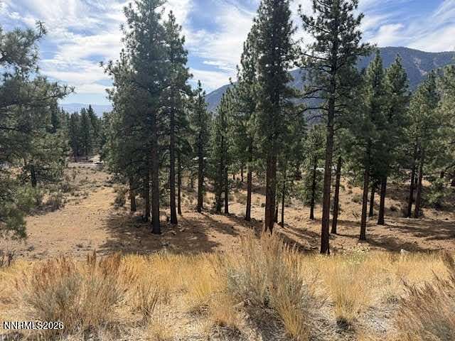 0.95 Acres of Residential Land for Sale in Carson City, Nevada