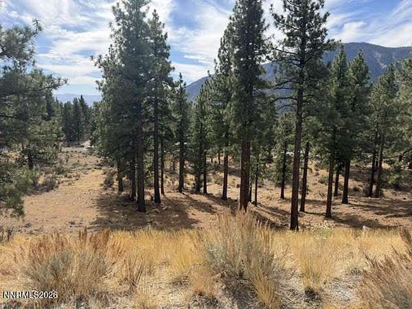 0.95 Acres of Residential Land for Sale in Carson City, Nevada
