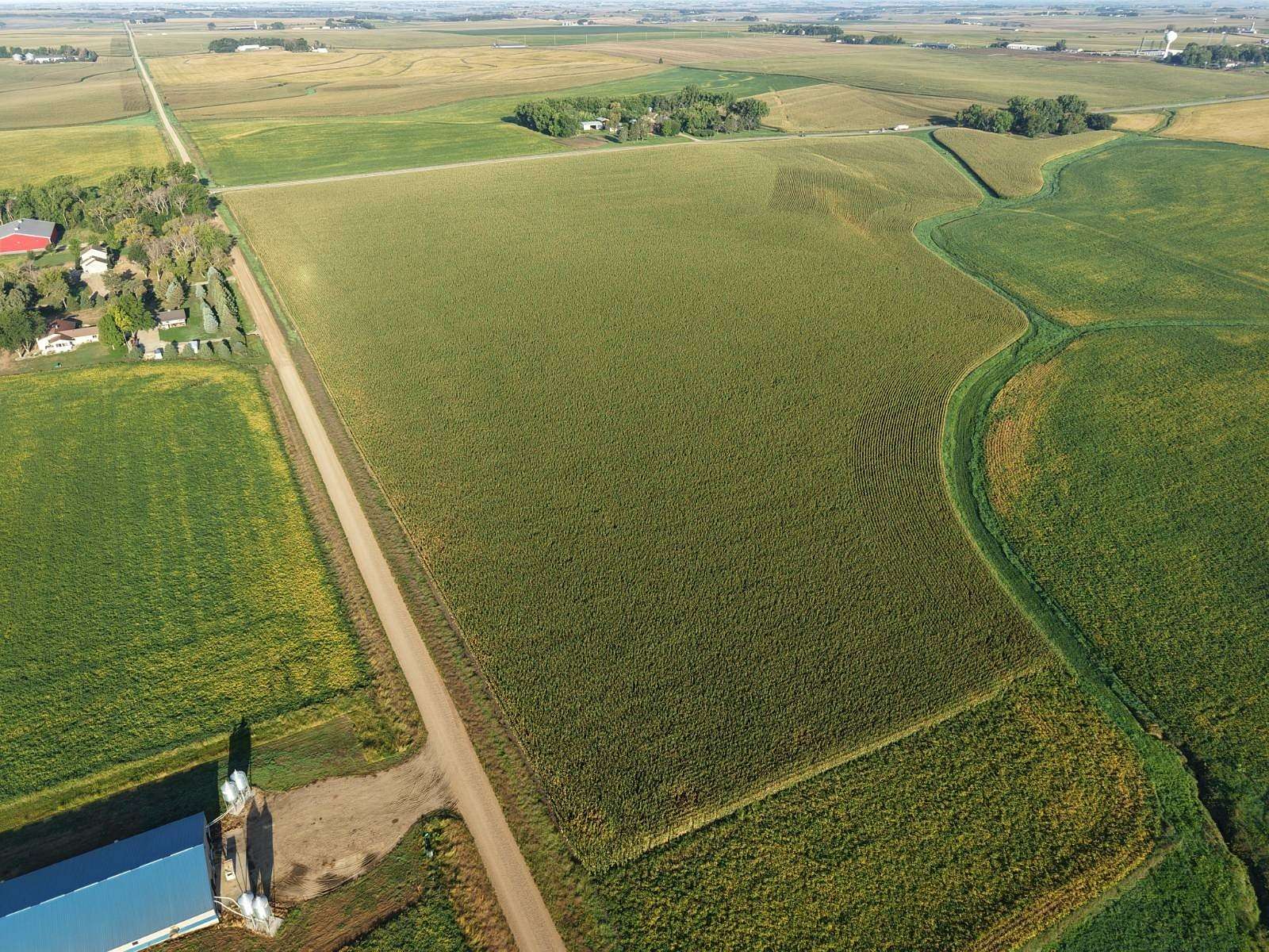 116 Acres of Land for Sale in Inwood, Iowa