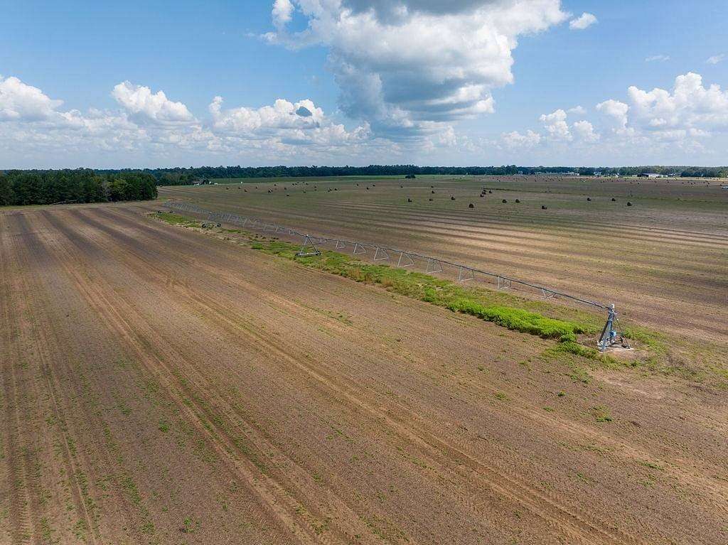 Land for Sale in Marianna, Florida