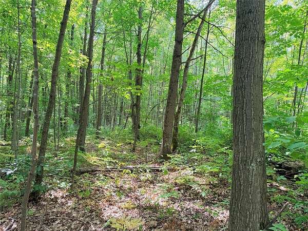 10 Acres of Land for Sale in Glen Flora, Wisconsin