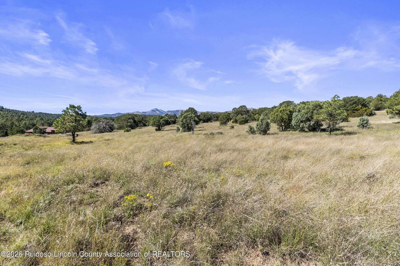 7.29 Acres of Land for Sale in Alto, New Mexico