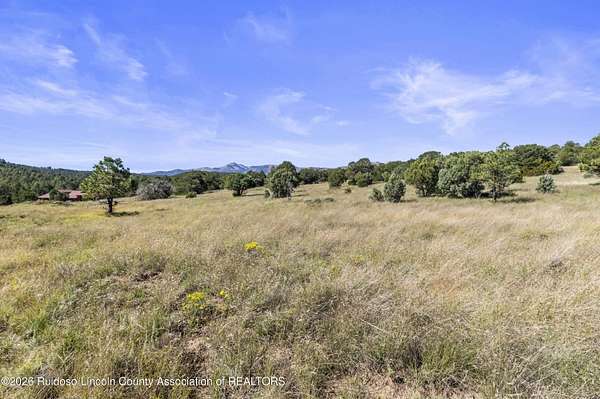 7.29 Acres of Land for Sale in Alto, New Mexico