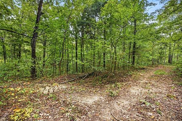6.88 Acres of Residential Land for Sale in Celina, Tennessee