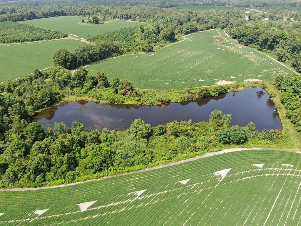 11.7 Acres of Land for Sale in Nicholls, Georgia