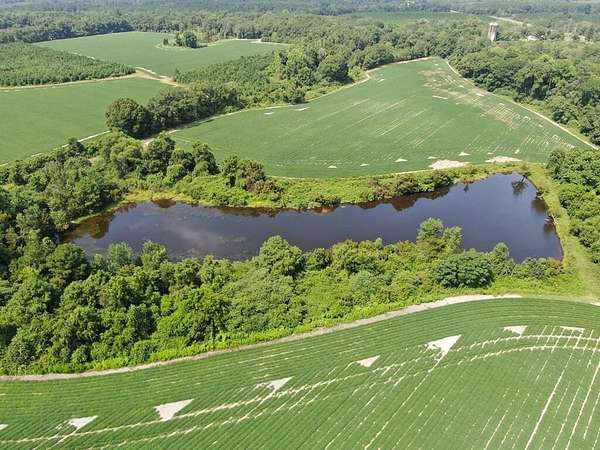 11.7 Acres of Land for Sale in Nicholls, Georgia