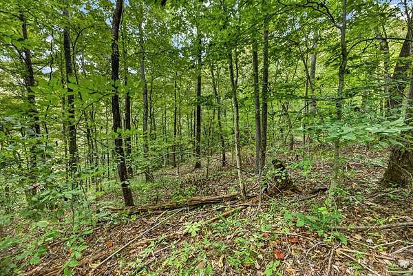 5.8 Acres of Residential Land for Sale in Celina, Tennessee