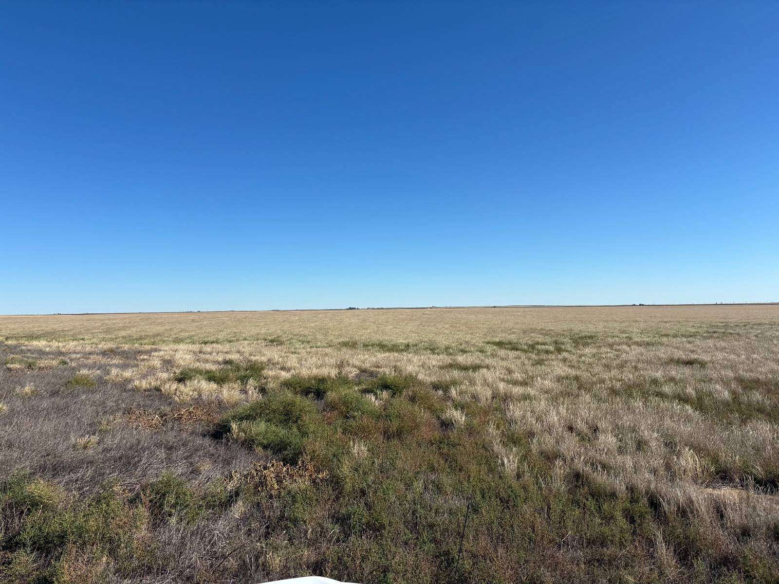 954 Acres of Agricultural Land for Sale in Eva, Oklahoma