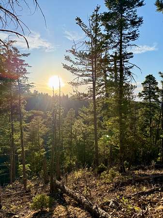 0.94 Acres of Residential Land for Sale in Cloudcroft, New Mexico