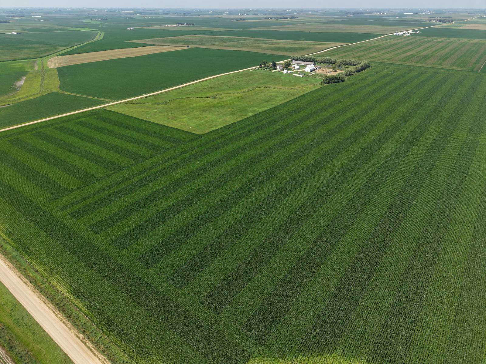 44.7 Acres of Agricultural Land for Auction in George, Iowa