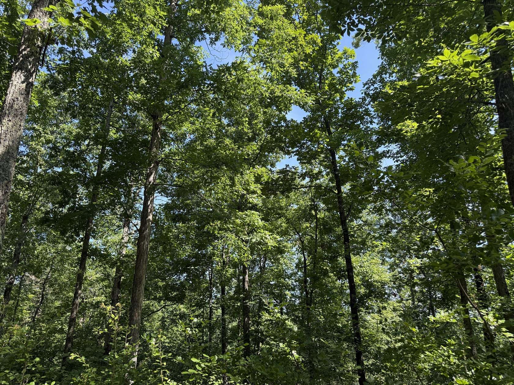 86 Acres of Recreational Land for Sale in Linden, Tennessee