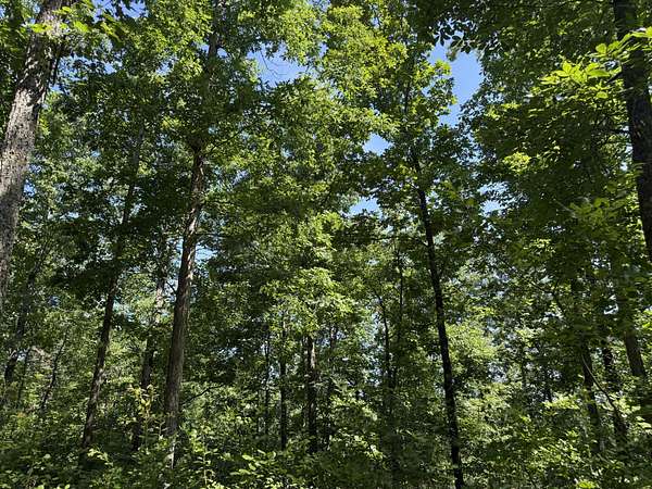 86 Acres of Recreational Land for Sale in Linden, Tennessee