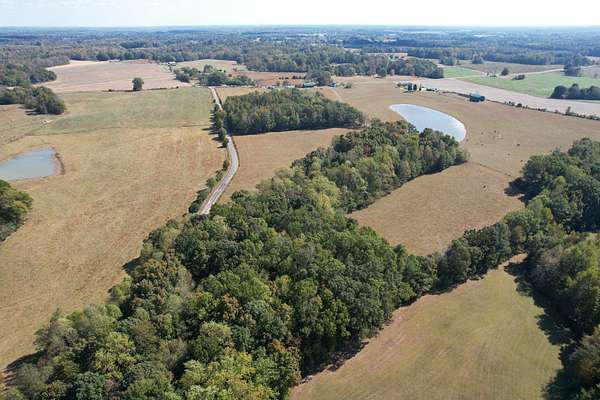 17 Acres of Land for Sale in Leoma, Tennessee