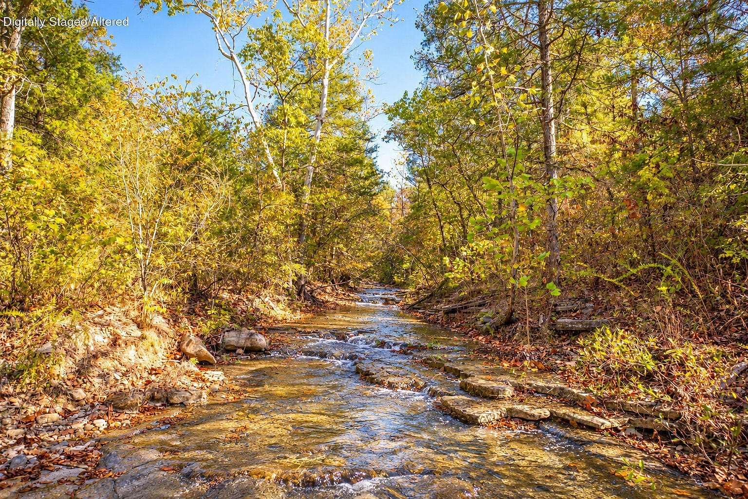 302 Acres of Land for Sale in Walnut Shade, Missouri