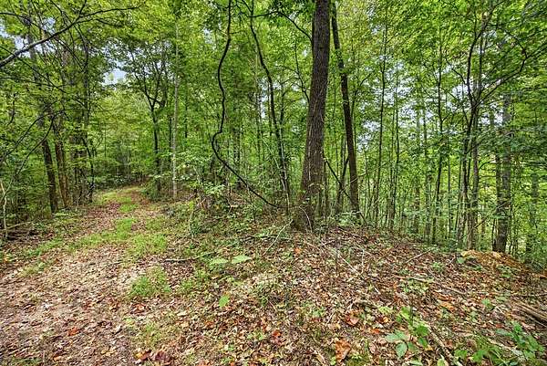 7.54 Acres of Residential Land for Sale in Celina, Tennessee